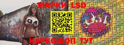 прущий лед Будённовск